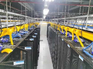 長(zhǎng)沙專業(yè)上門(mén)搭建網(wǎng)絡(luò) 建設(shè)機(jī)房 舊機(jī)房升級(jí)改造